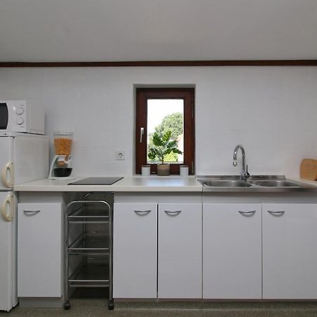 Apartment Nana Rovigno Esterno foto